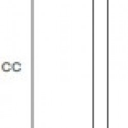 ASA M8015 - 10 x 96mm INOX E. F.